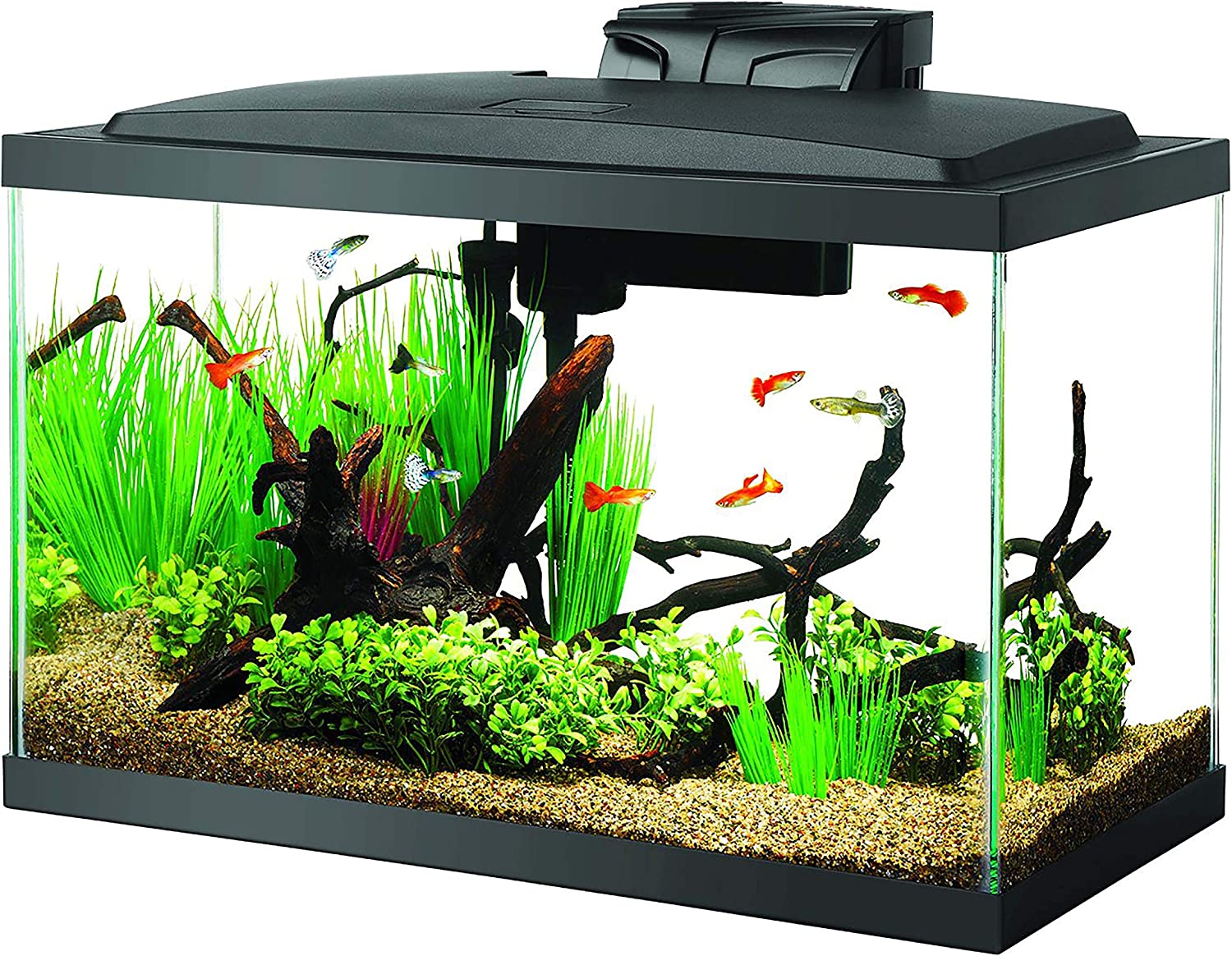 Aqueon Starter Kit Aquarium Fish Tank