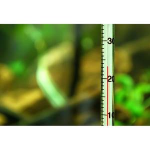 Fish tank temperature