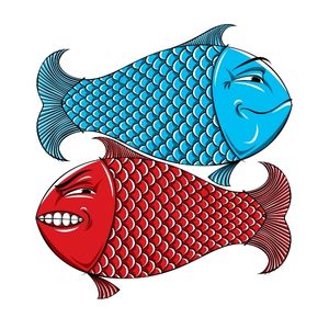 betta Fish temperament