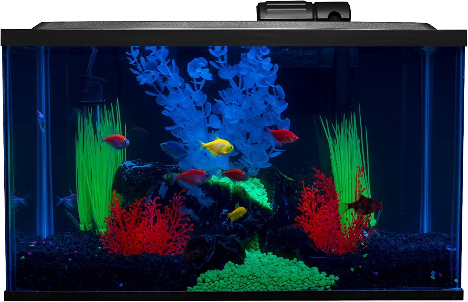 Glofish 10 Gallon Aquarium betta Fish Tank