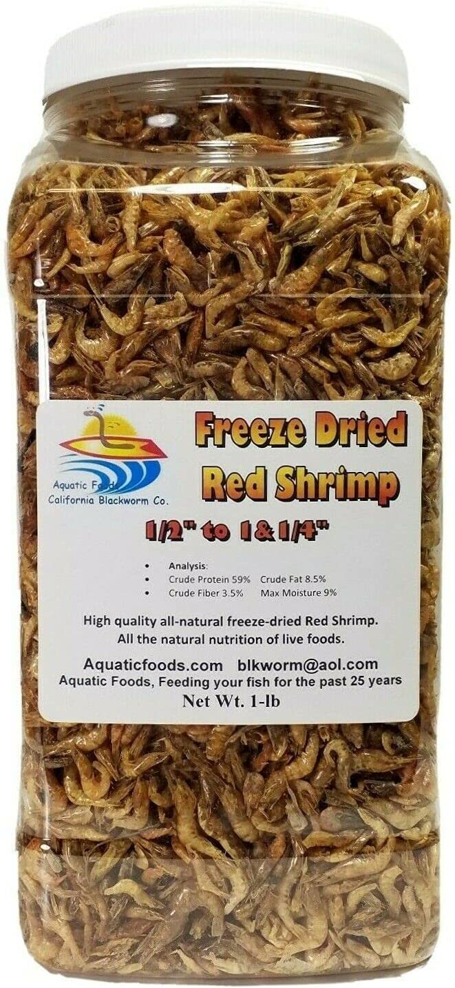 aquatic food freeze dried red shrimp