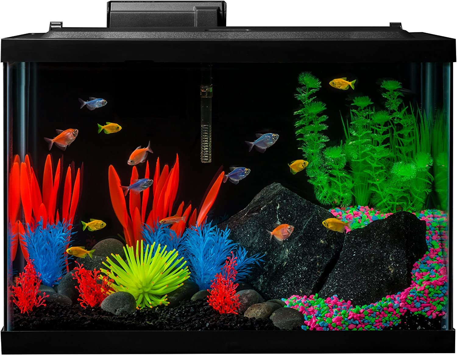 GloFish Aquarium LED Light Fish Tank