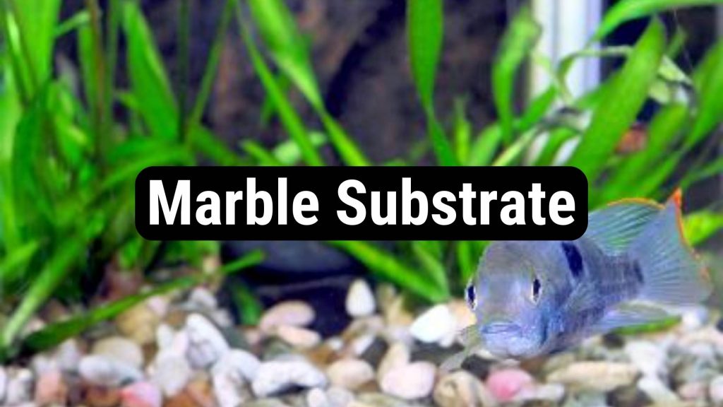 marble substrate
