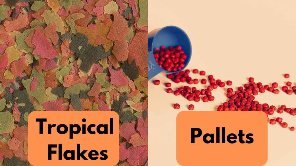 tropical flakes vs pallets