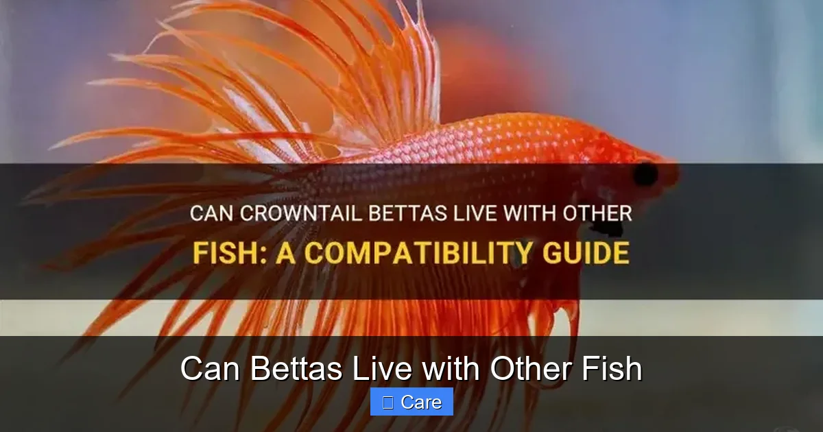 Can Bettas Live with Other Fish