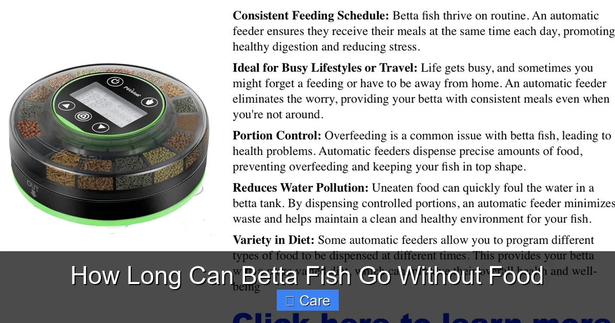 How Long Can Betta Fish Go Without Food