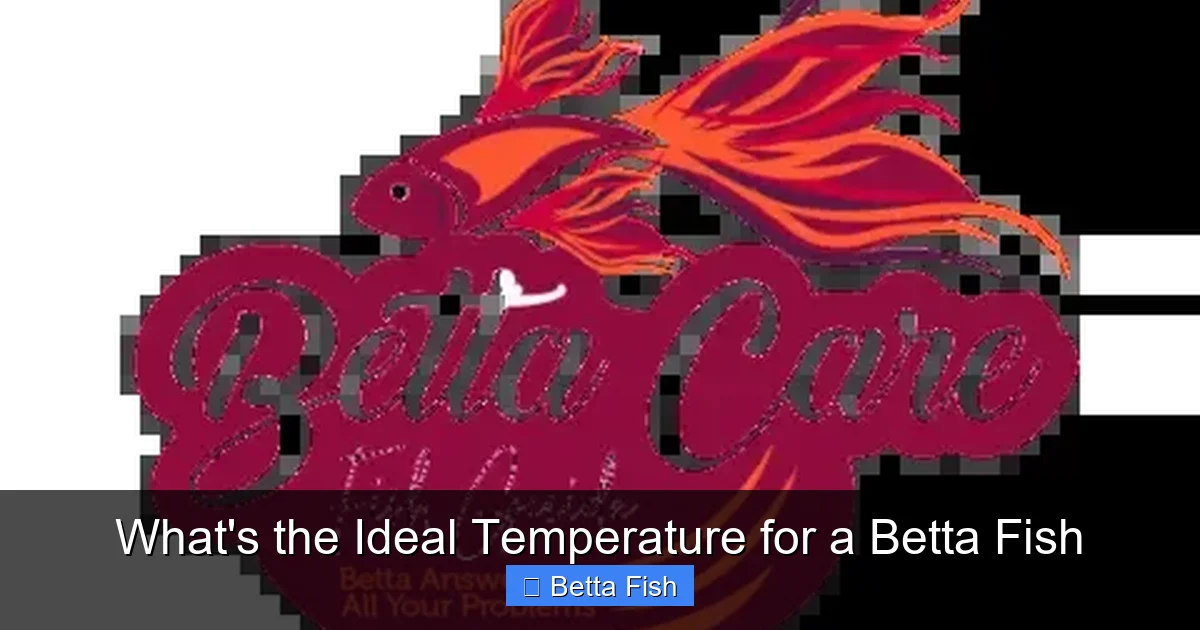 What's the Ideal Temperature for a Betta Fish