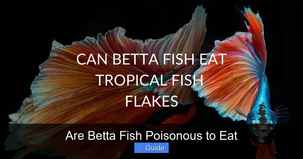 Are Betta Fish Poisonous to Eat