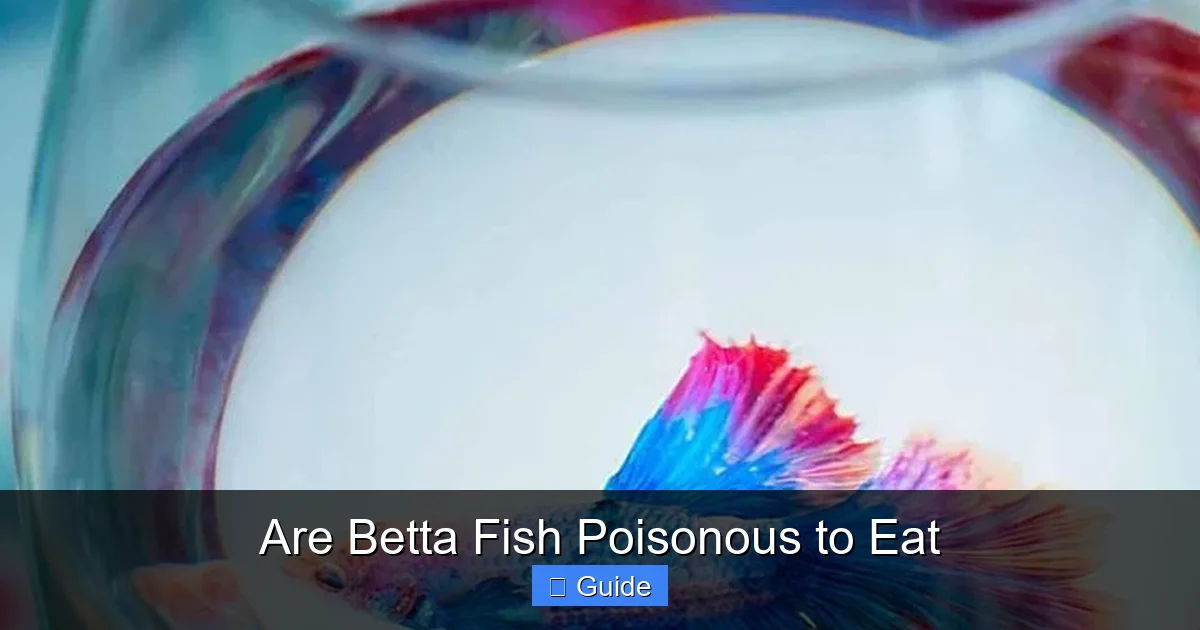 Are Betta Fish Poisonous to Eat