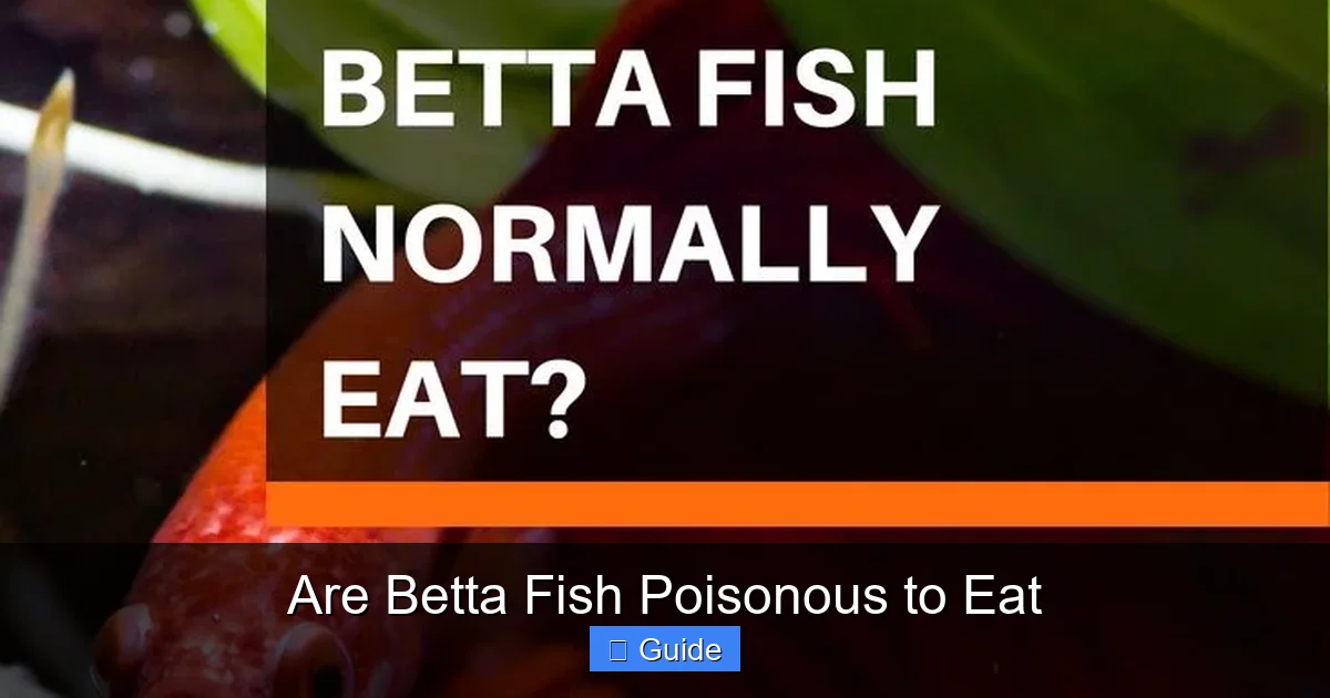 Are Betta Fish Poisonous to Eat