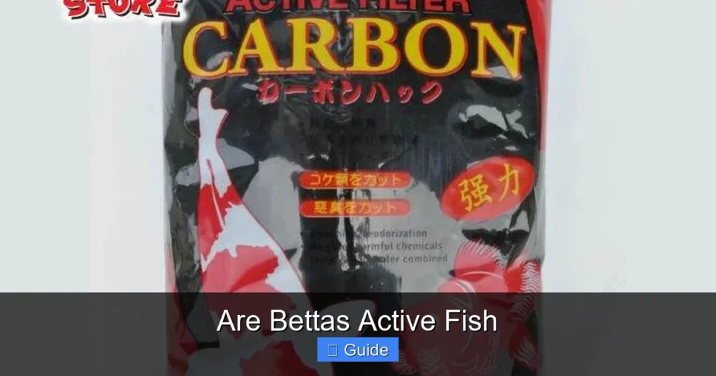 Are Bettas Active Fish