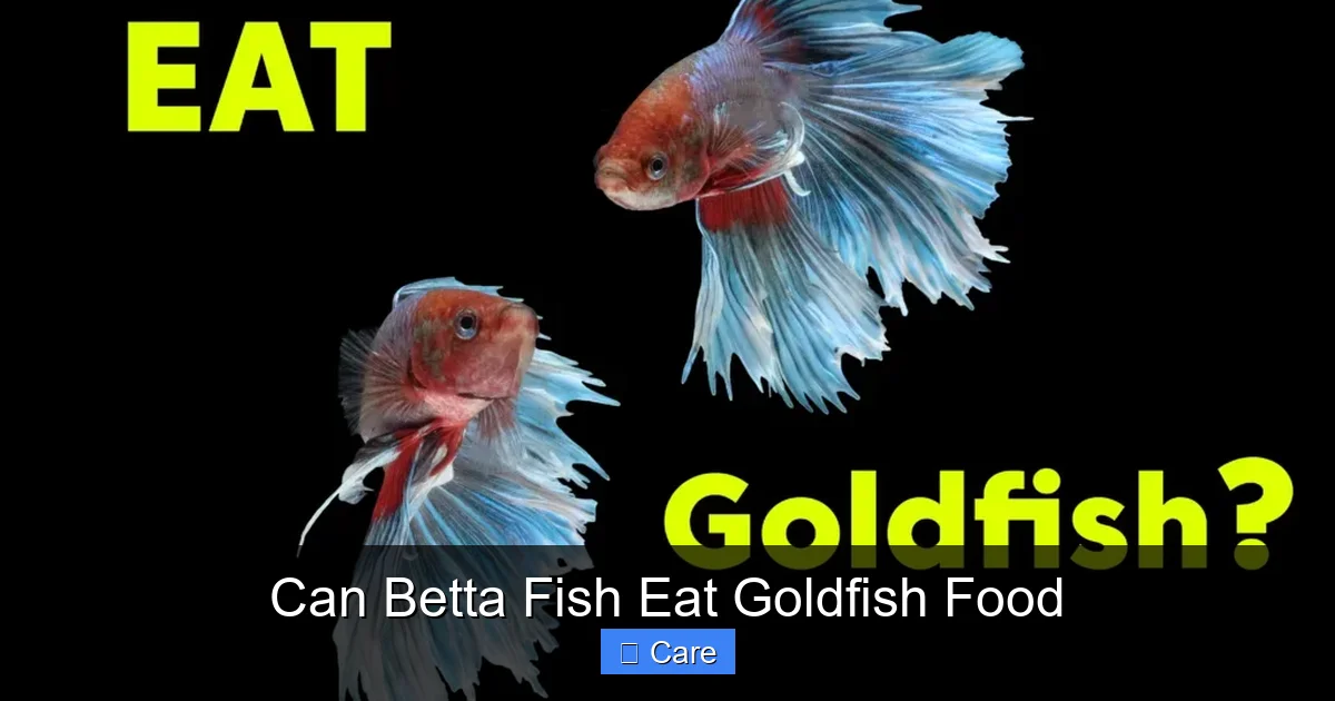 Can Betta Fish Eat Goldfish Food