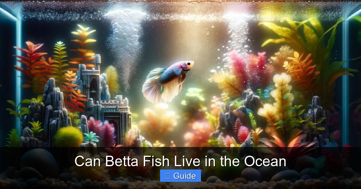 Can Betta Fish Live in the Ocean