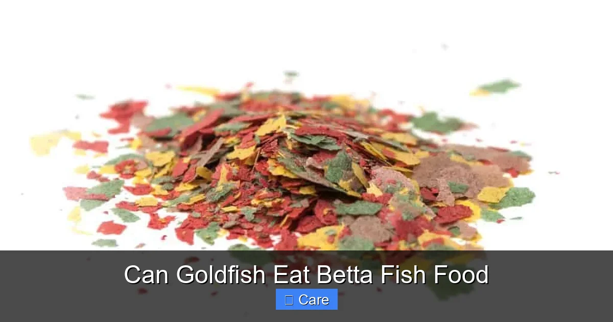 Can Goldfish Eat Betta Fish Food