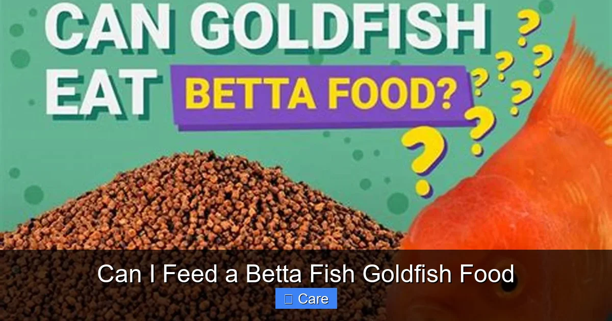 Can I Feed a Betta Fish Goldfish Food