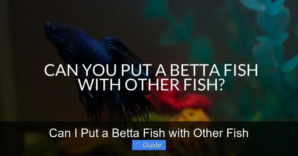 Can I Put a Betta Fish with Other Fish