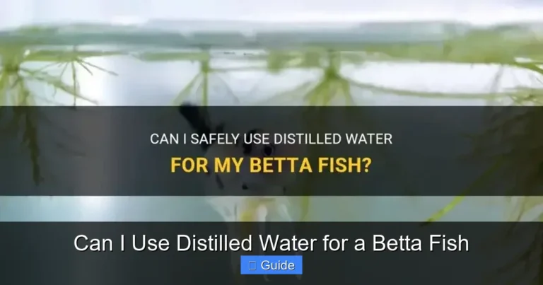 Can I Use Distilled Water for a Betta Fish