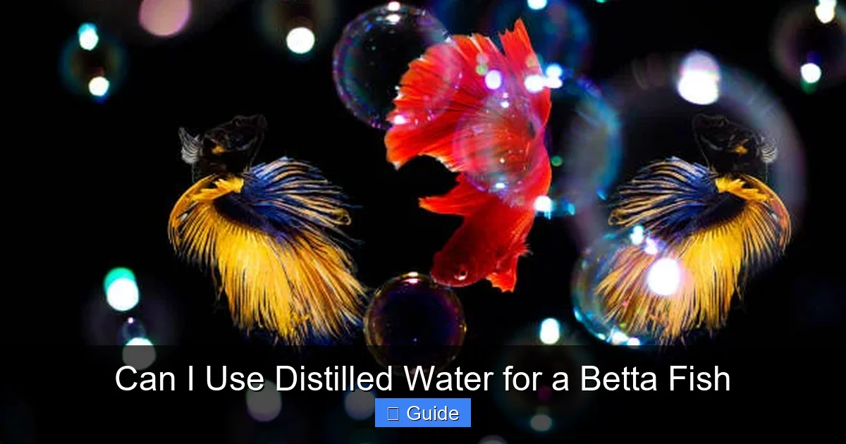Can I Use Distilled Water for a Betta Fish