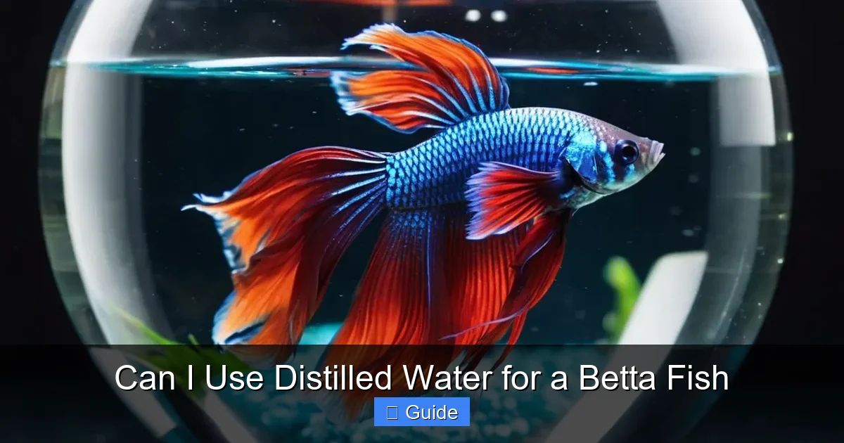 Can I Use Distilled Water for a Betta Fish