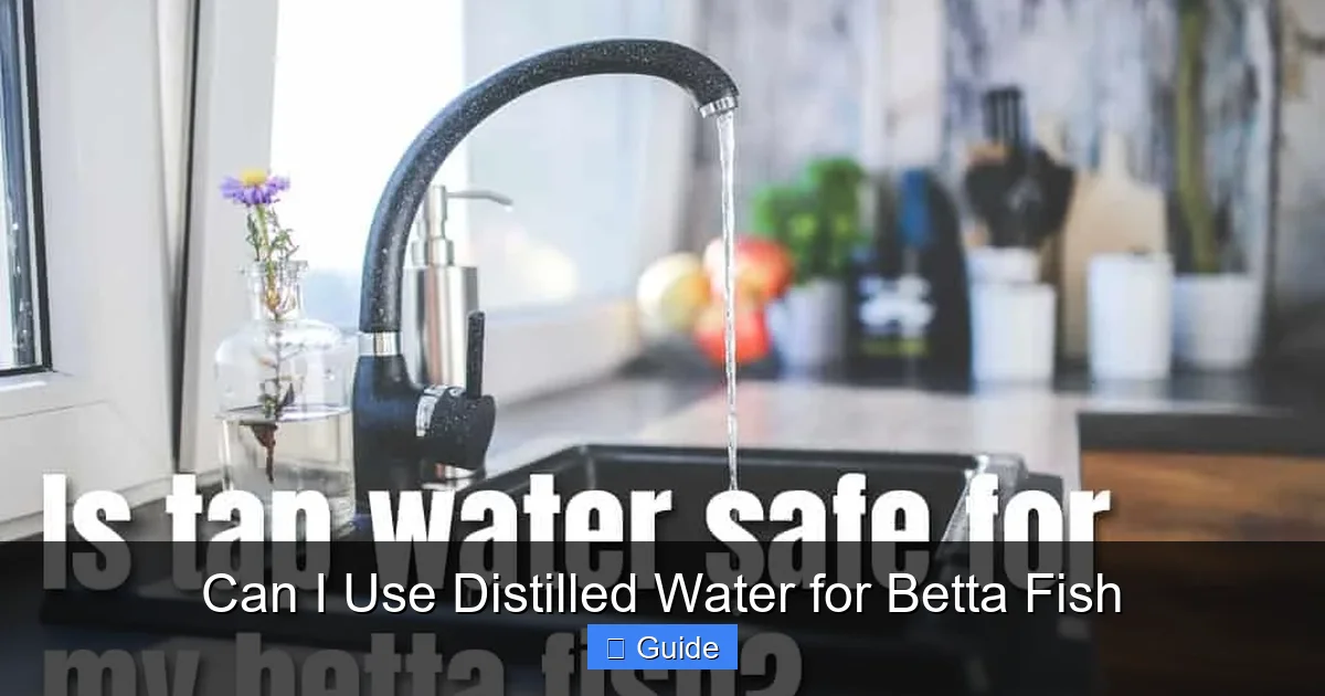 Can I Use Distilled Water for Betta Fish