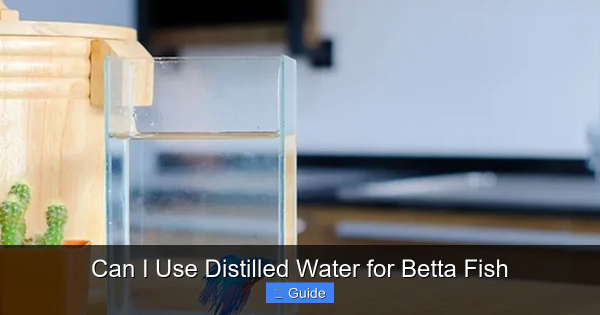 Can I Use Distilled Water for Betta Fish
