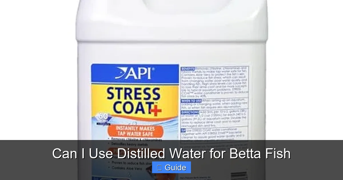 Can I Use Distilled Water for Betta Fish