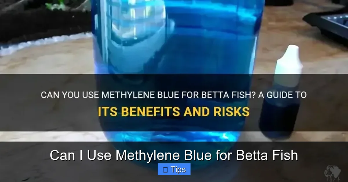 Can I Use Methylene Blue for Betta Fish