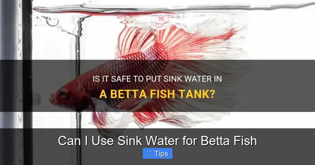Can I Use Sink Water for Betta Fish