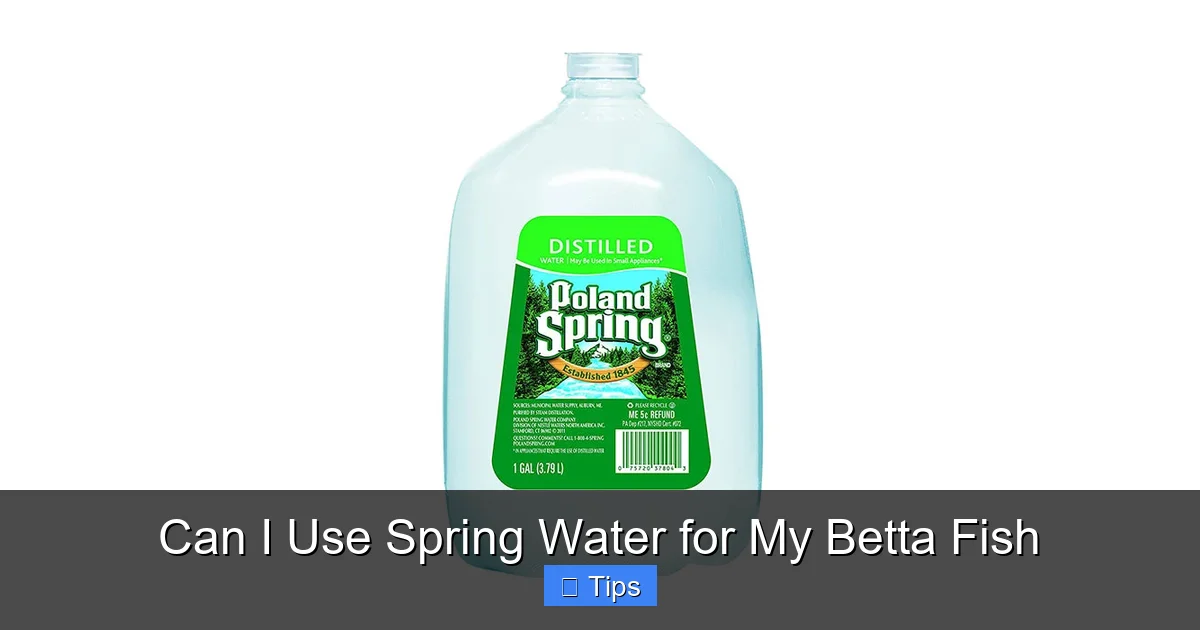 Can I Use Spring Water for My Betta Fish