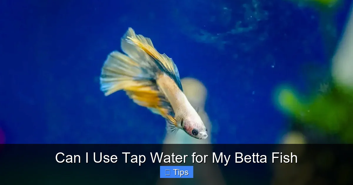 Can I Use Tap Water for My Betta Fish