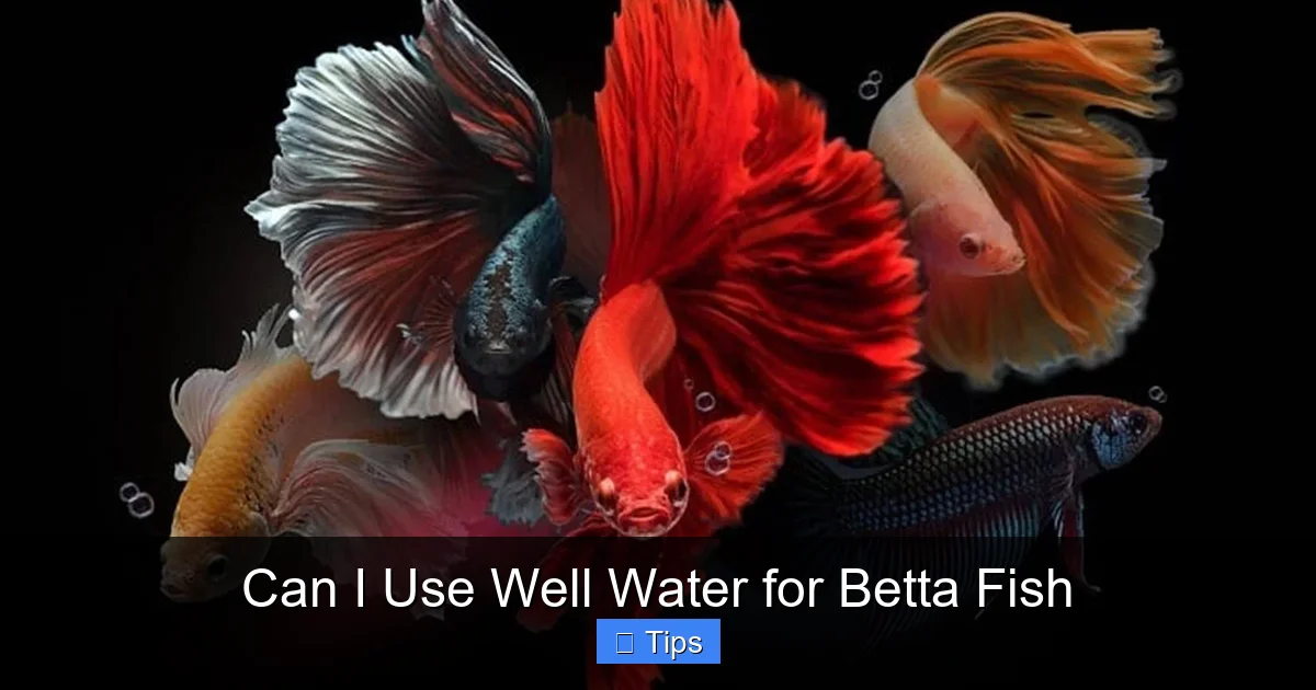Can I Use Well Water for Betta Fish