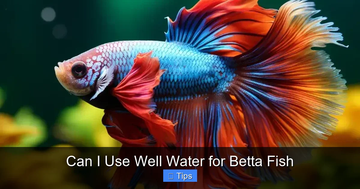 Can I Use Well Water for Betta Fish