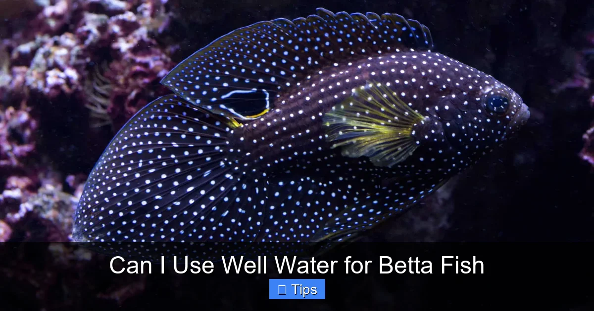 Can I Use Well Water for Betta Fish