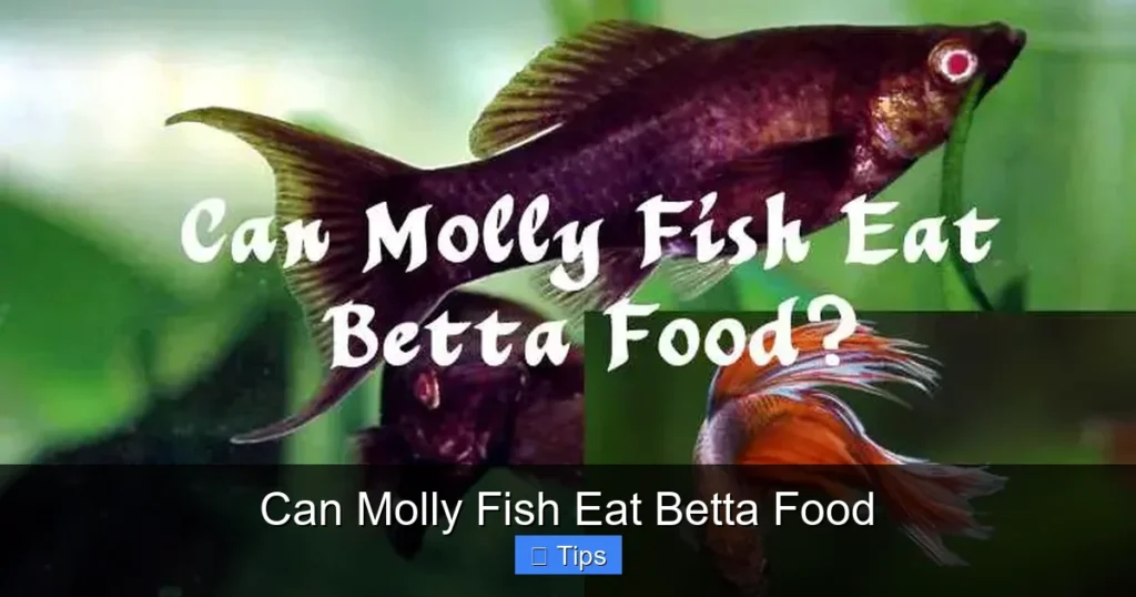 Can Molly Fish Eat Betta Food