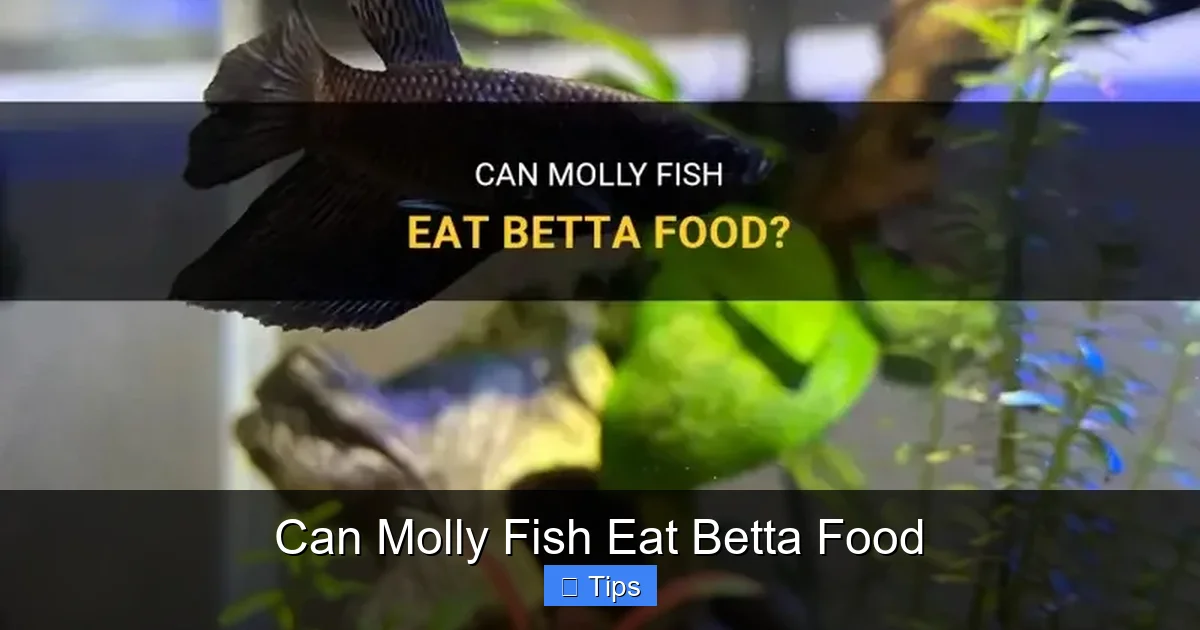 Can Molly Fish Eat Betta Food