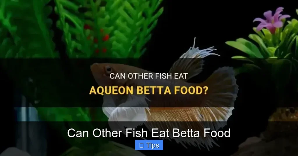 Can Other Fish Eat Betta Food