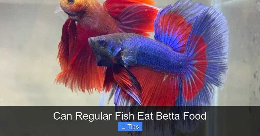 Can Regular Fish Eat Betta Food