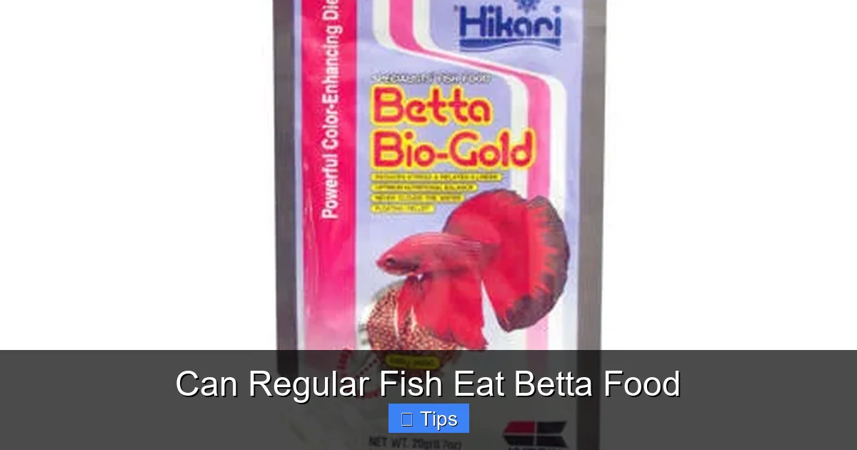 Can Regular Fish Eat Betta Food