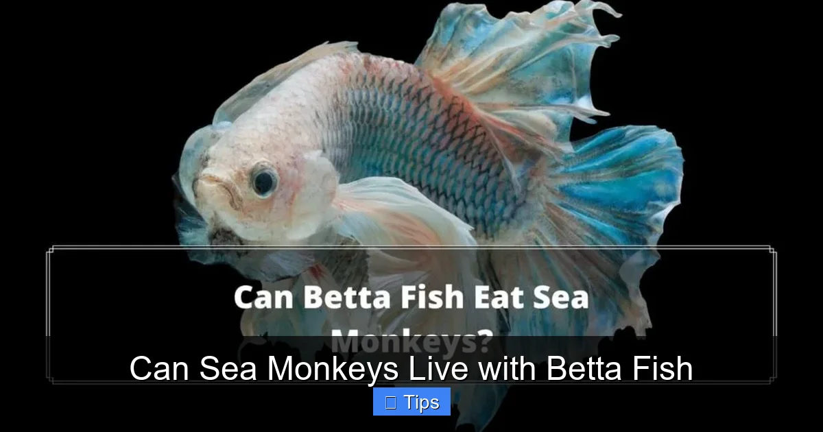 Can Sea Monkeys Live with Betta Fish