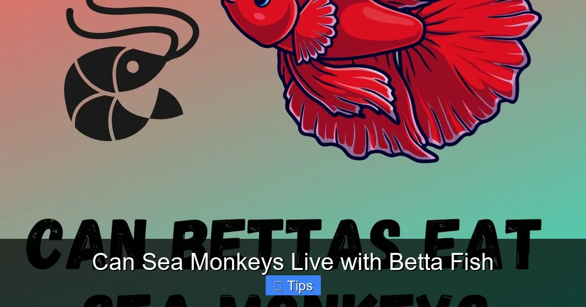 Can Sea Monkeys Live with Betta Fish