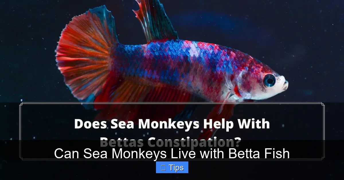 Can Sea Monkeys Live with Betta Fish