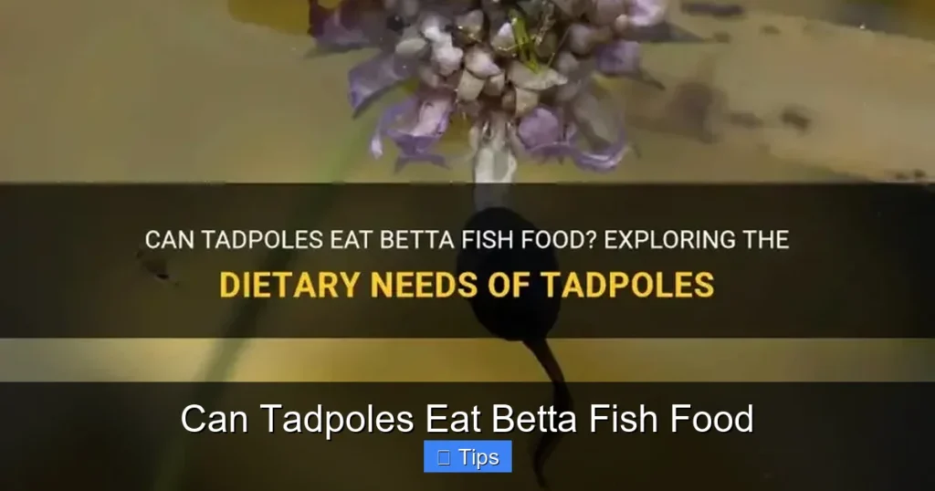 Can Tadpoles Eat Betta Fish Food