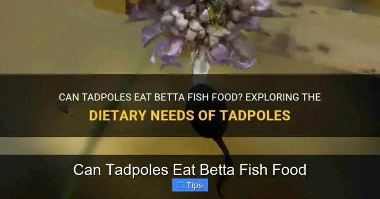 Can Tadpoles Eat Betta Fish Food
