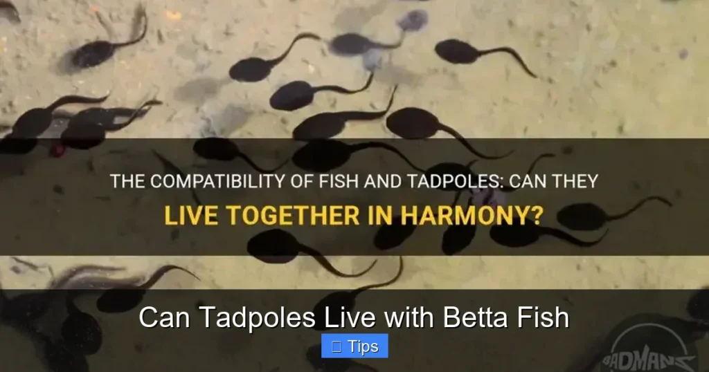 Can Tadpoles Live with Betta Fish
