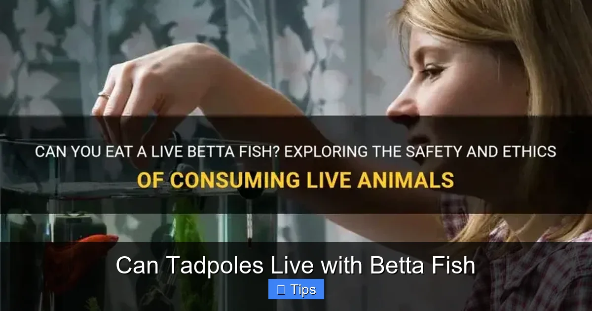 Can Tadpoles Live with Betta Fish