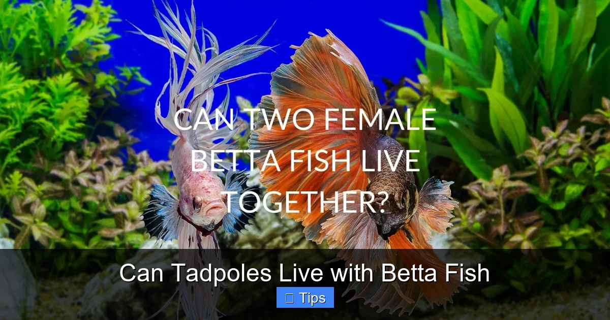 Can Tadpoles Live with Betta Fish