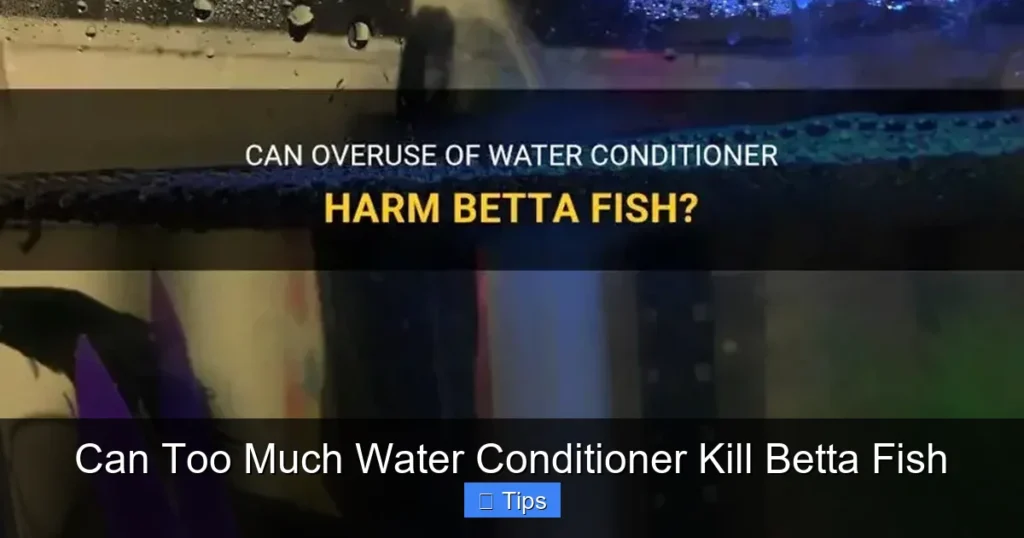 Can Too Much Water Conditioner Kill Betta Fish