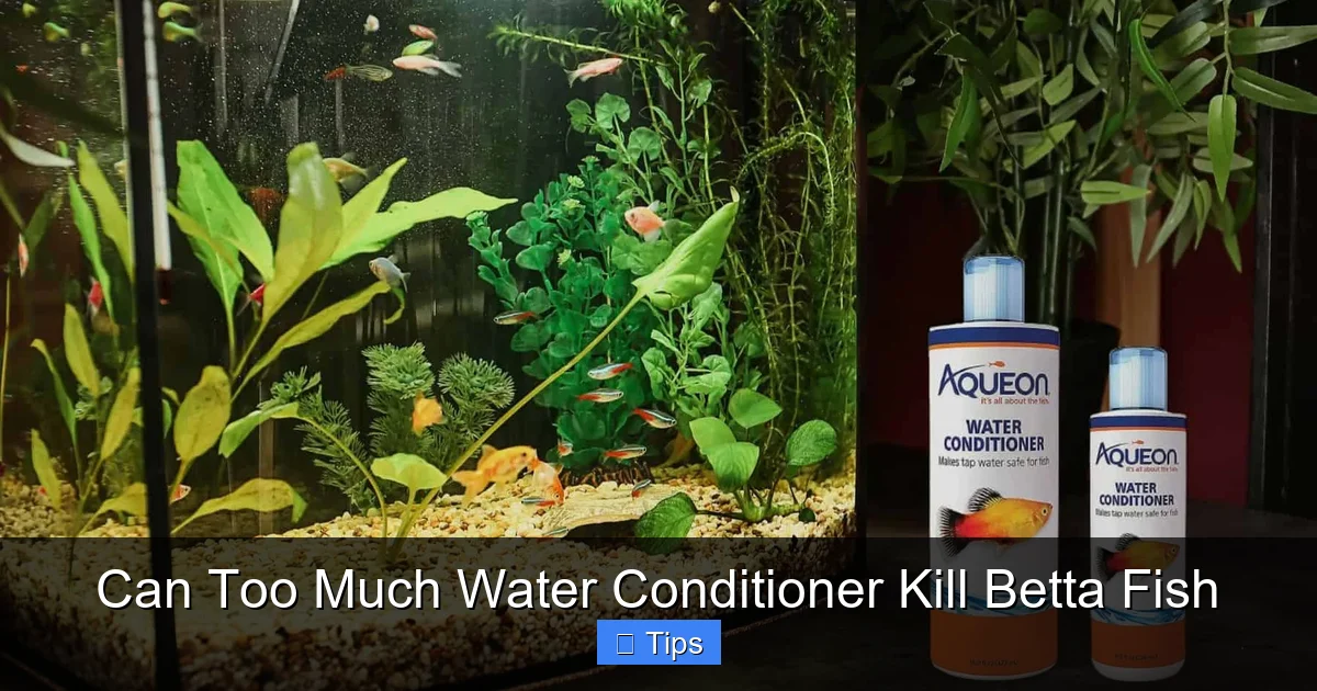 Can Too Much Water Conditioner Kill Betta Fish