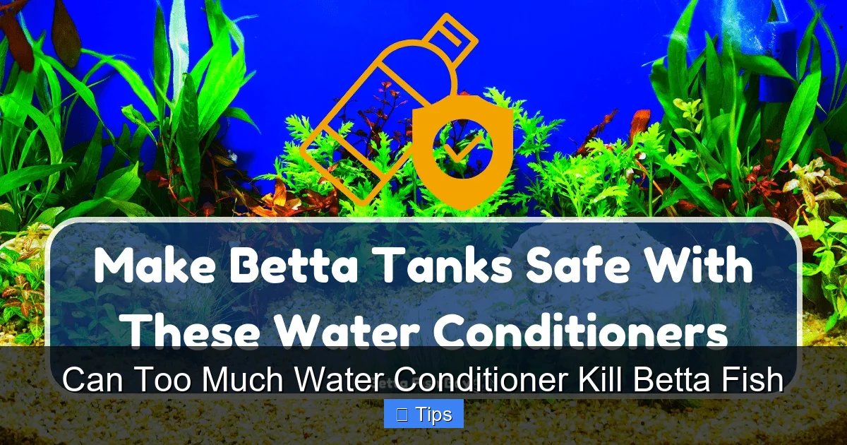 Can Too Much Water Conditioner Kill Betta Fish