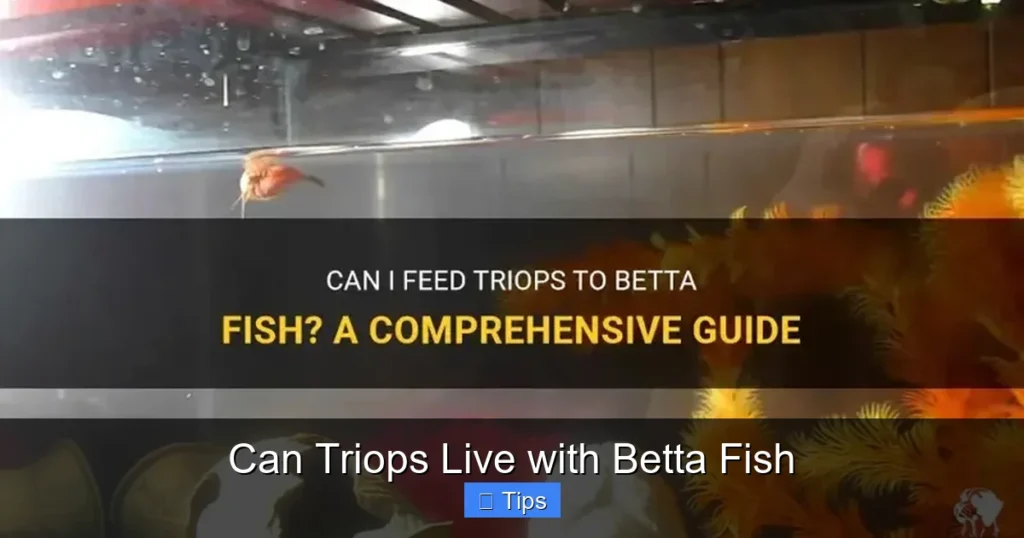 Can Triops Live with Betta Fish